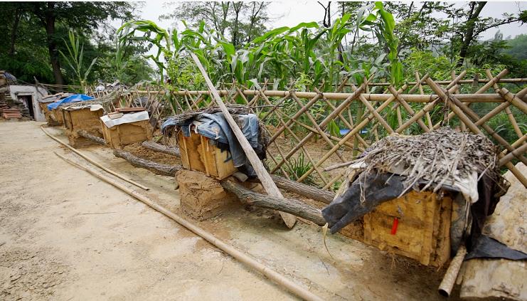 1595231715913397.jpg 微信截图_20200720155033.jpg