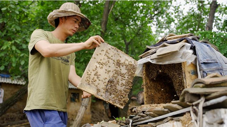 1595231734331630.jpg 微信截图_20200720154929.jpg