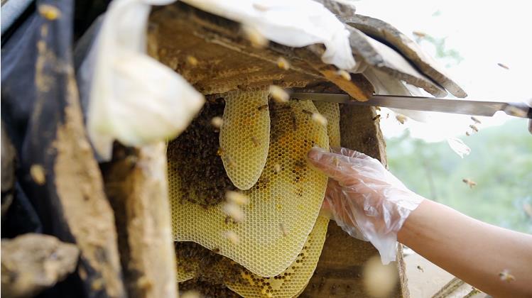 1595231772812101.jpg 微信截图_20200720154947.jpg