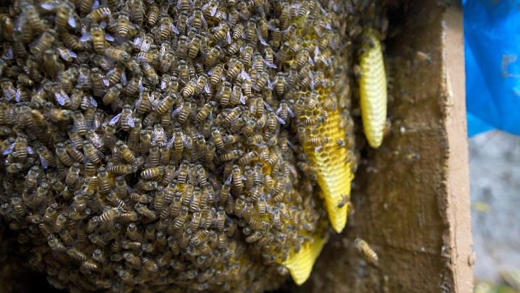 1595231782667444.jpg 微信截图_20200720155113.jpg