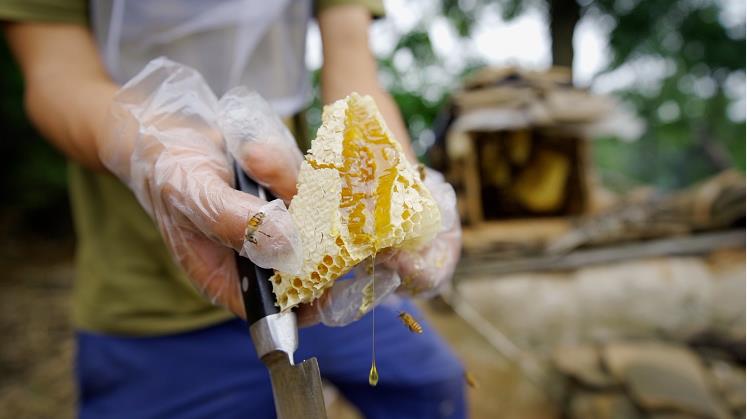 1595231836546439.jpg 微信截图_20200720155006.jpg