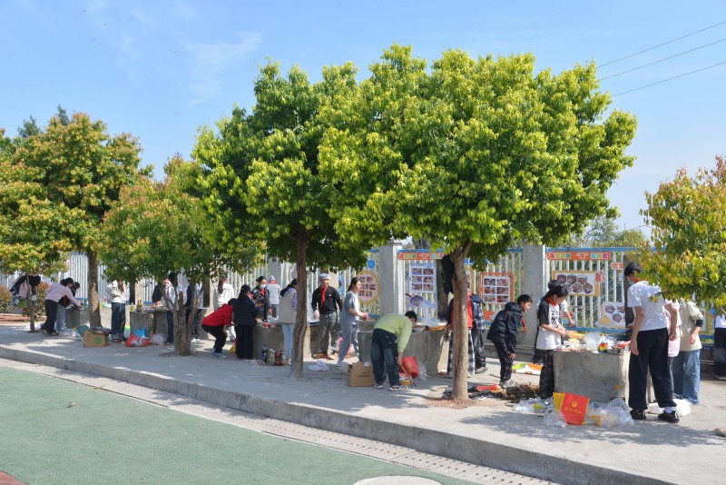 1774941650333304.jpg 1.jpg