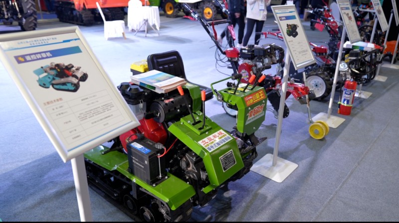 1775026429159905.jpg 4.jpg