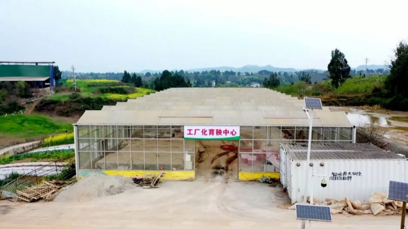 1775110259706752.jpg 1.jpg