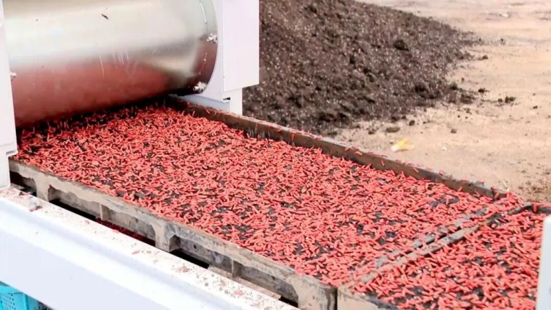 1775110266781588.jpg 2.jpg