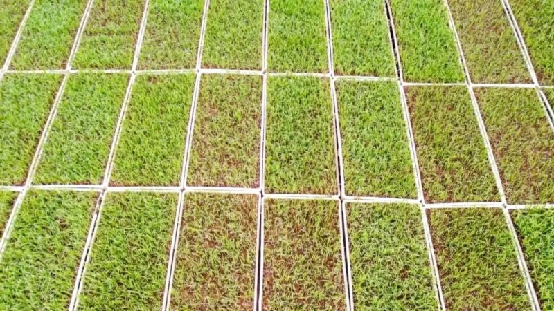 1775110269831350.jpg 3.jpg