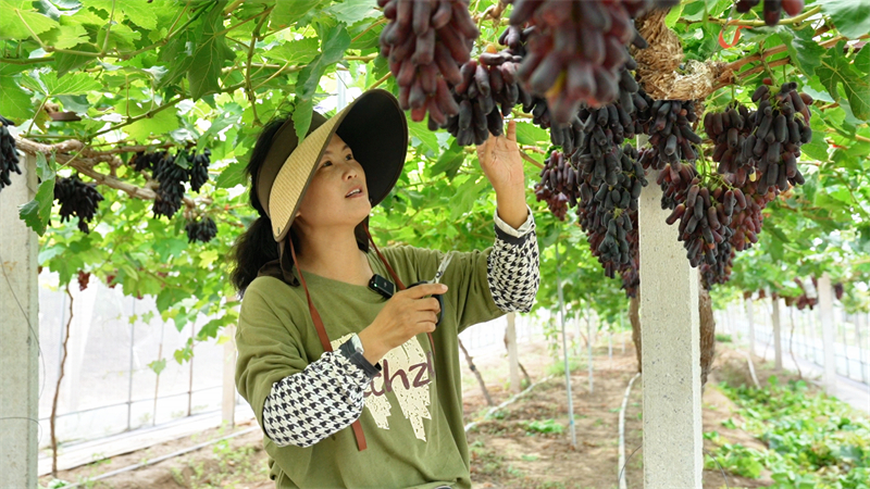 1753755940951453.jpg 图片3.jpg