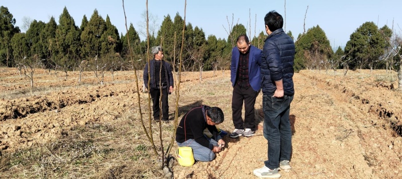 1772089012857941.jpg 图片2.jpg