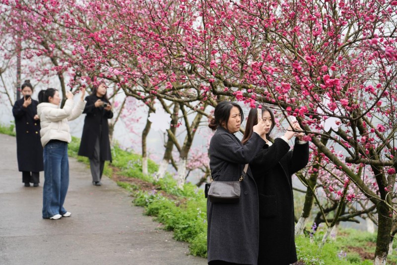 1773800098176772.jpg 图片2.jpg