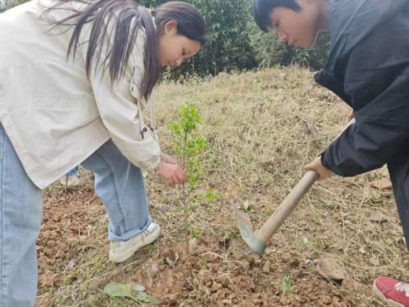 1773800427568818.jpg 图片1.jpg