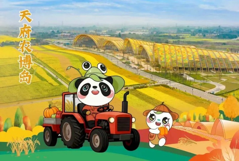 1774837930310638.jpg 5.jpg