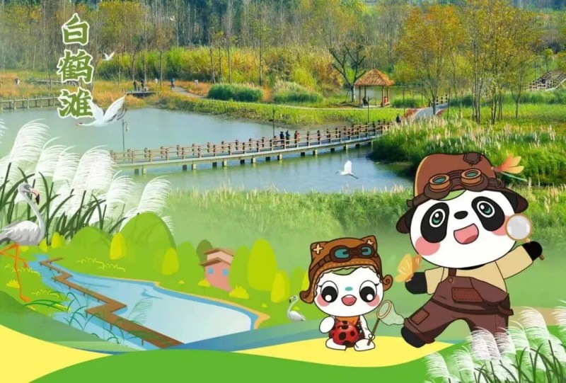 1774837935245703.jpg 6.jpg