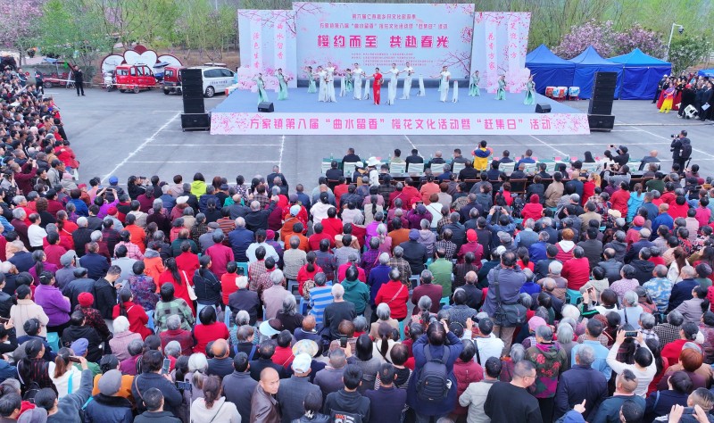 1774838012454651.jpg 1.jpg