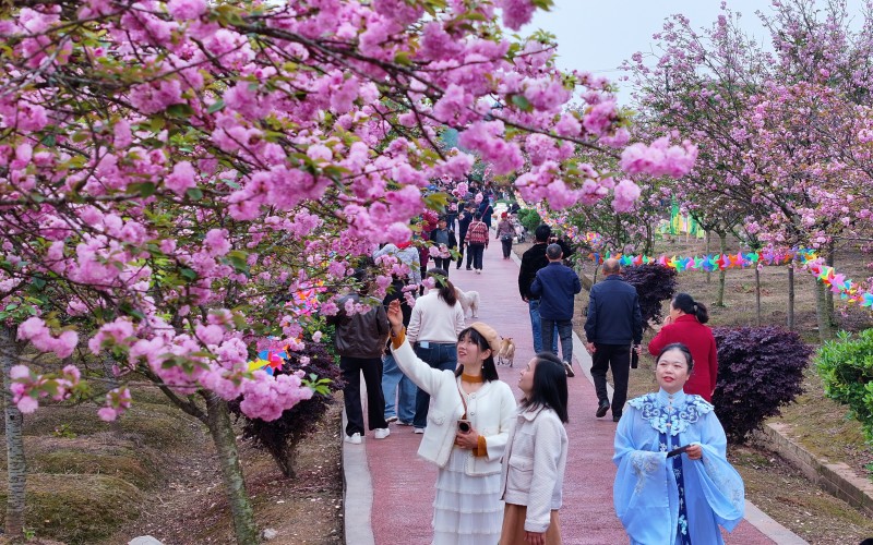 1774838019559840.jpg 5.jpg