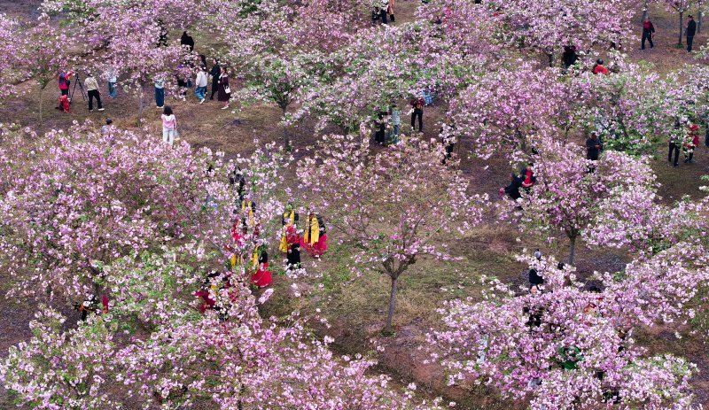 1774838021137826.jpg 7.jpg