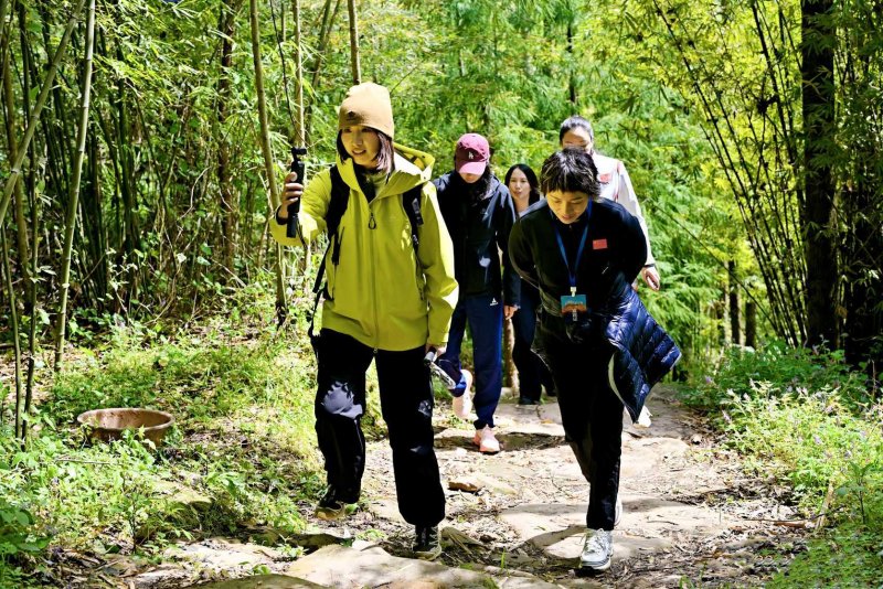 1775006945301627.jpg 图片3.jpg