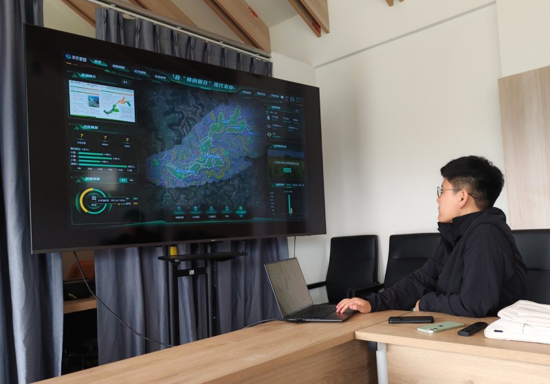 1775093187186486.jpg 1.jpg