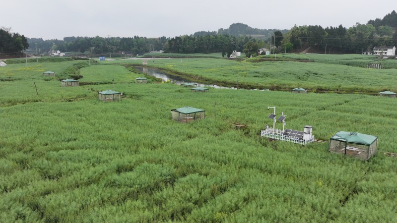 1775093191314555.jpg 2.jpg