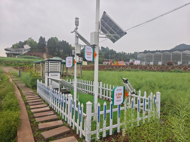 1775093194876600.jpg 3.jpg