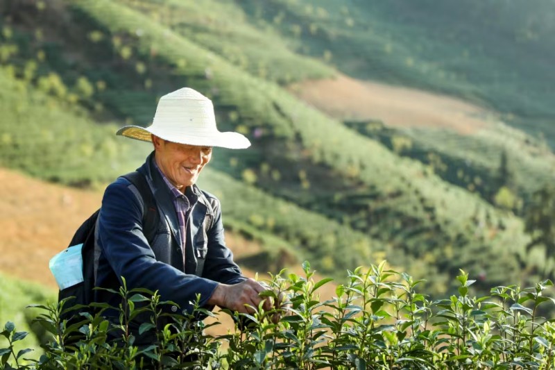 1775184287746765.jpg 2茶+李相芬 (13).jpg