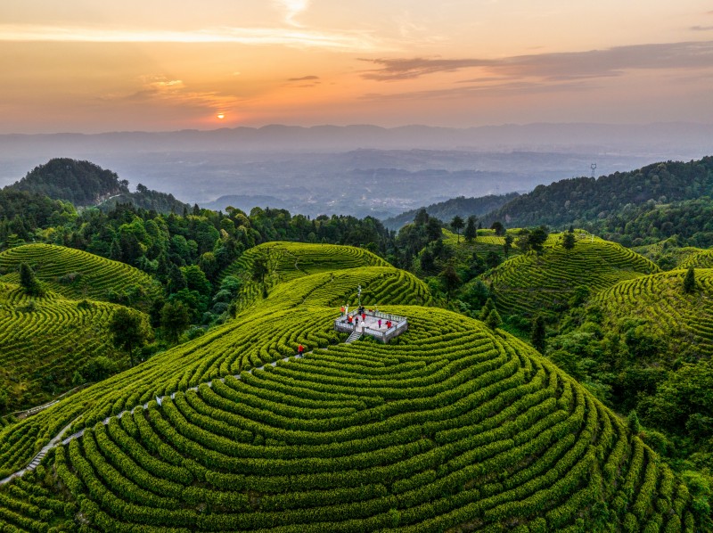 1775184291872502.jpg 3团坝镇云峰茶谷航拍(大竹县委宣传部供图).jpg