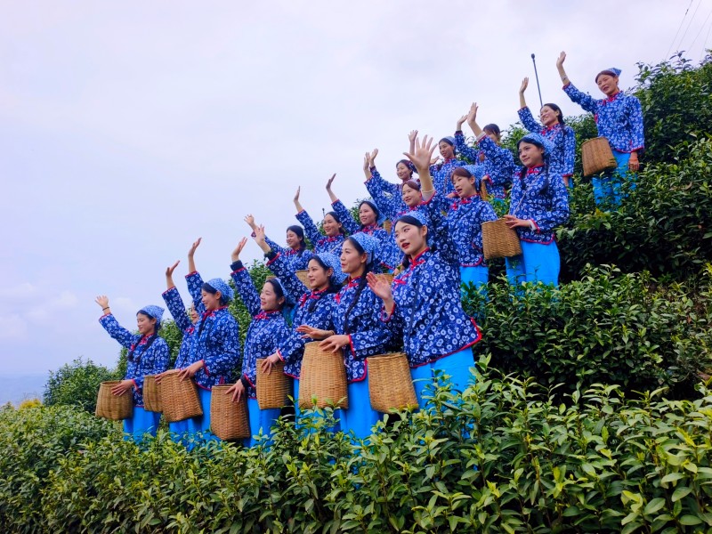 1775184295544729.jpg 4第十届喊山开茶活动现场(大竹县委宣传部供图) (2).jpg