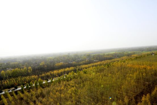 ebc95290926269806afe12198040c49