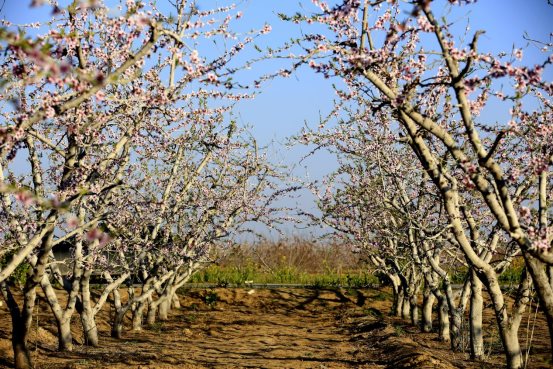 微信图片_20191024101152