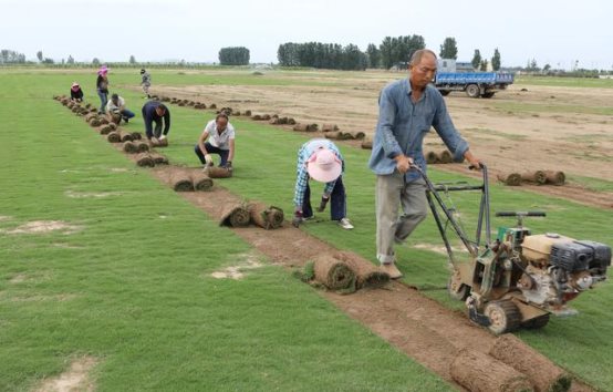 b8eef92692ea5a6f38dbf1935dd0871