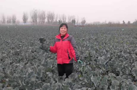 1606979196133442.jpg 微信截图_20201203145355.jpg