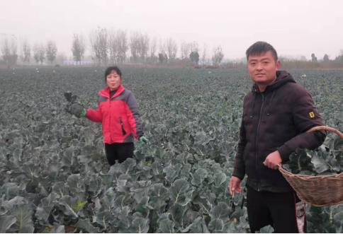 1606979202935415.jpg 微信截图_20201203145406.jpg