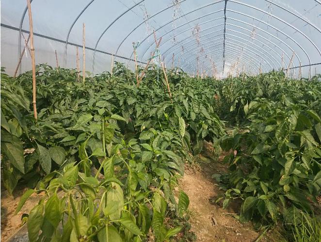 1607496392834135.jpg 微信截图_20201209144412.jpg