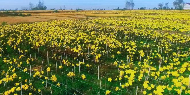 1607496423147649.jpg 微信截图_20201209144432.jpg