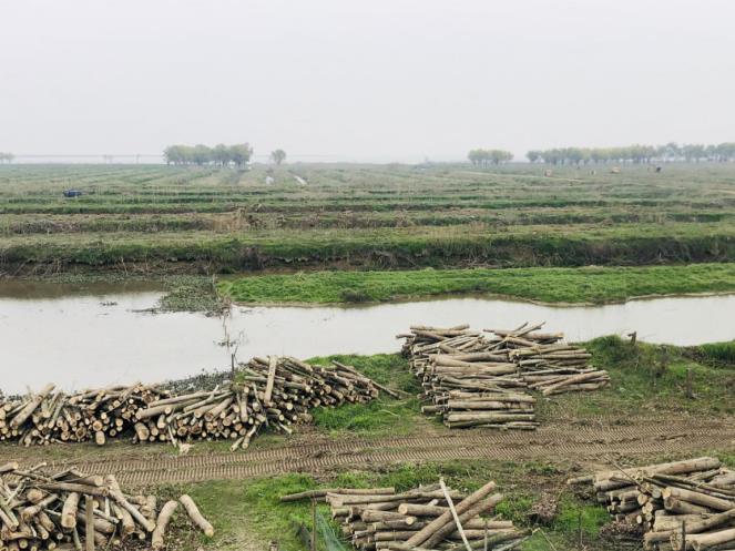 1608874071440174.jpg 微信截图_20201225132607.jpg