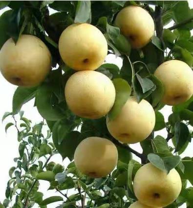 1612150640556876.jpg 1612150640556876.jpg