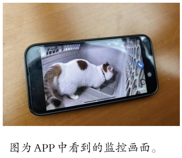 屏幕截图_24-4-2025_93128_.jpeg