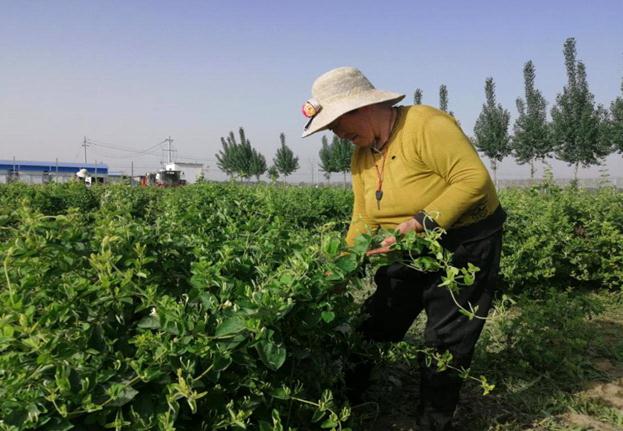 1591680973550204.jpg 微信截图_20200609133556.jpg