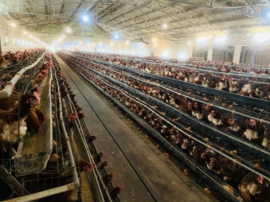 微信图片_202006151125171