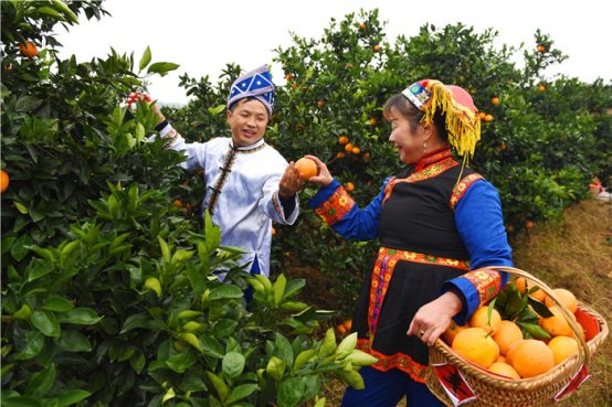 微信图片_20201113084755_副本